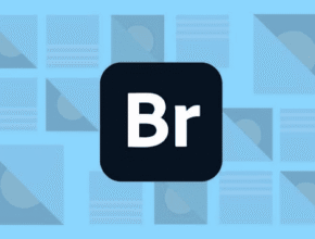 Adobe Bridge Full Portable