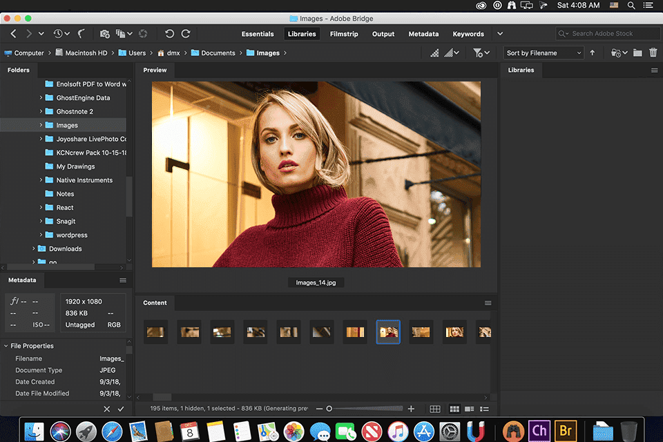 Adobe Bridge Latest Portable