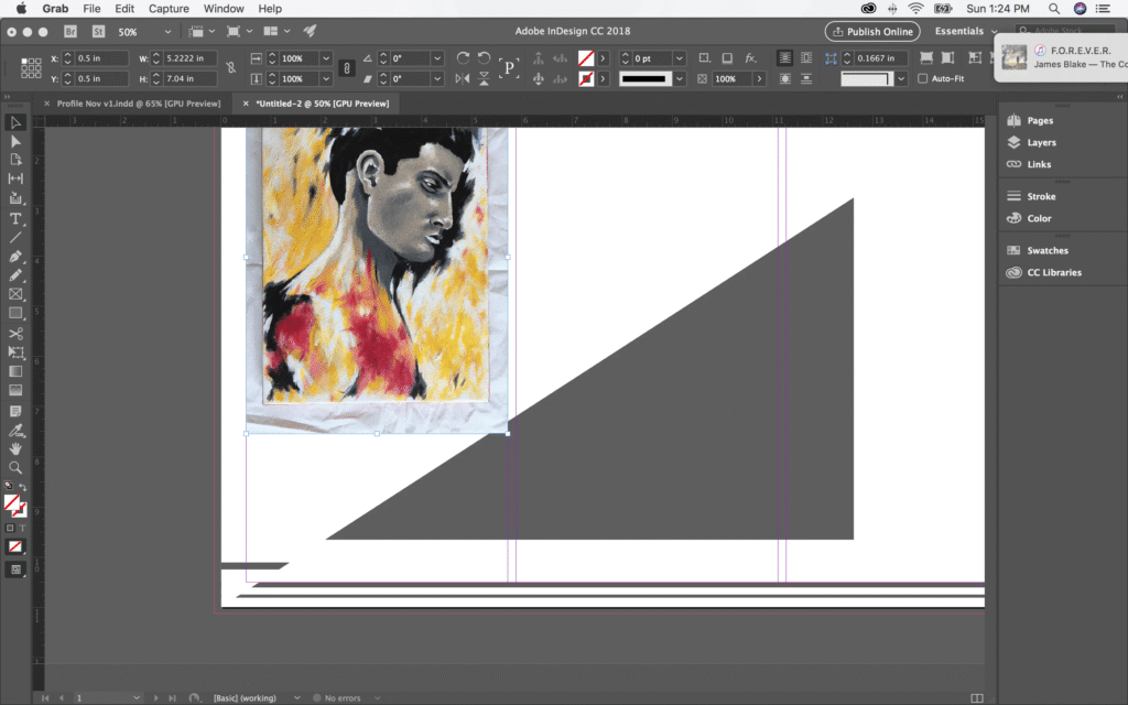 Adobe InDesign Full Download
