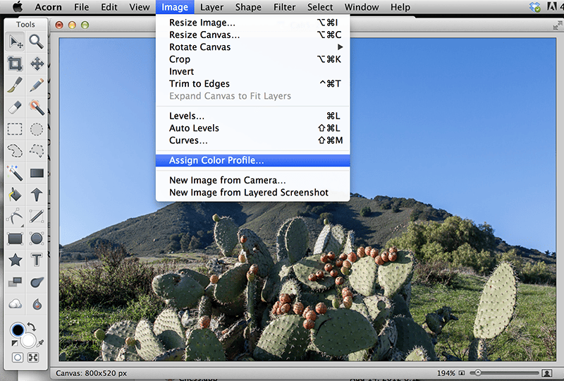 Acorn Full Version 2026