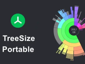 TreeSize Professional