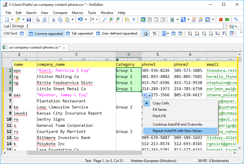 Emurasoft EmEditor Professional Full Version 2026